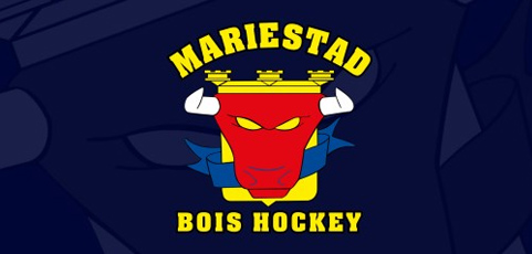 Mariestad BoIS Hockey väljer laget.se – ”Mycket lätt att lära sig använda”